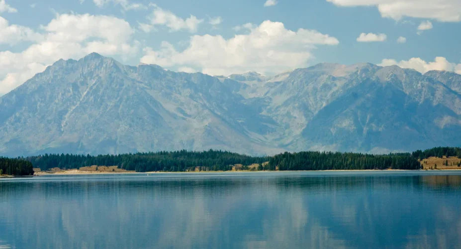 National Parks Too Crowded? Visit These Nearby National Forests Instead